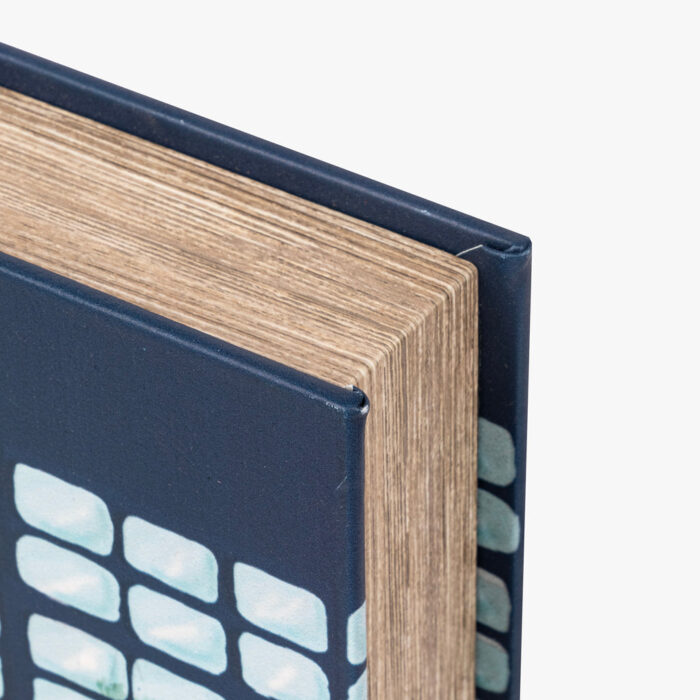 Boîte Livre Bleue KIOSK – Image 2