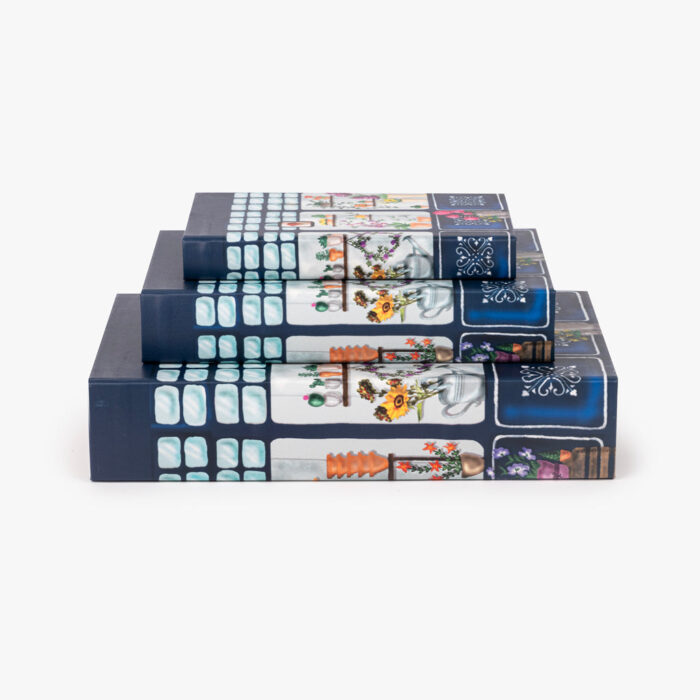 Boîte Livre Bleue KIOSK – Image 6