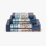 Boîte Livre Bleue KIOSK – Image 6