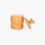 Boîte en Verre avec Papillon Marron MIA – Image 2