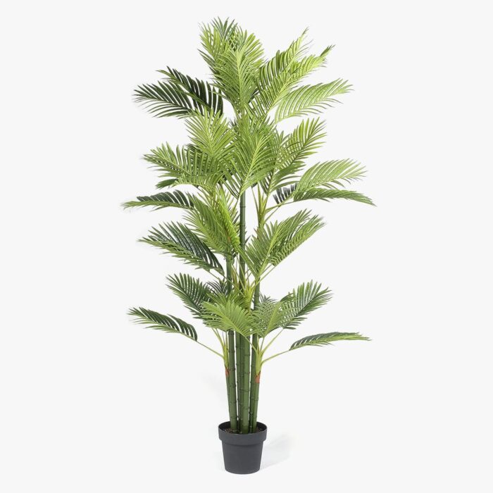 Plante Artificielle Palmier Areca 170cm PALM – Image 1