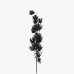 Branchage algues PT 71cm
